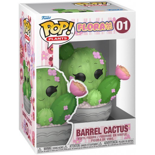 Cactus Baril
