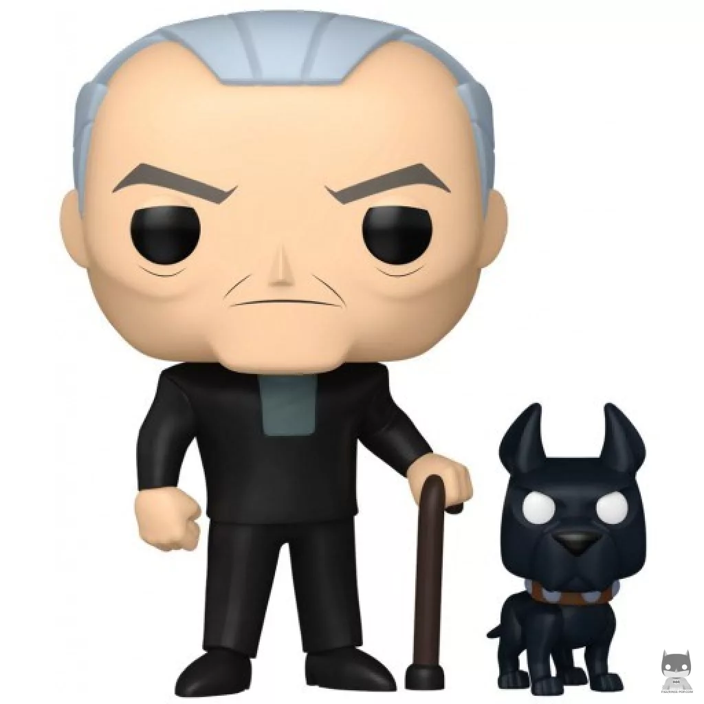 Figurine Funko POP Bruce Wayne & Ace (Batman Beyond)