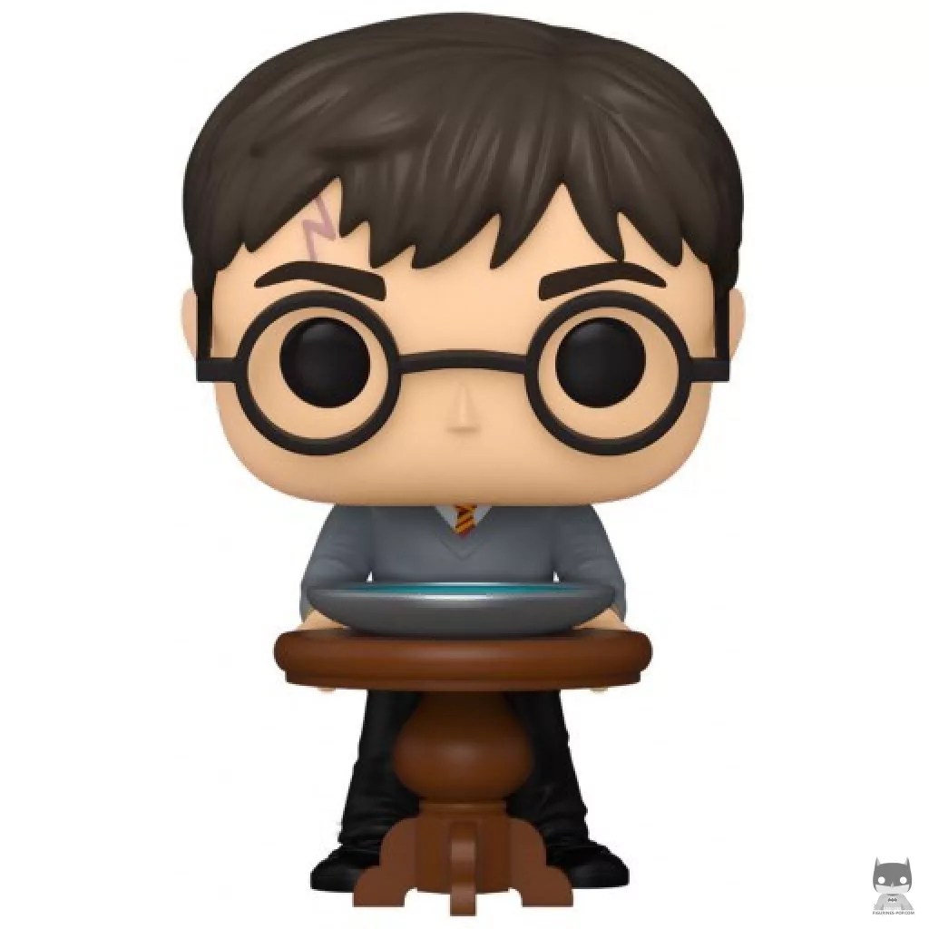 Figurine Funko POP Harry Potter et la Pensine (Harry Potter)