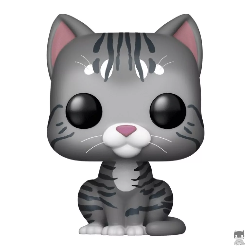 Figurine Funko POP Minerva McGonagall en Chat (Harry Potter)