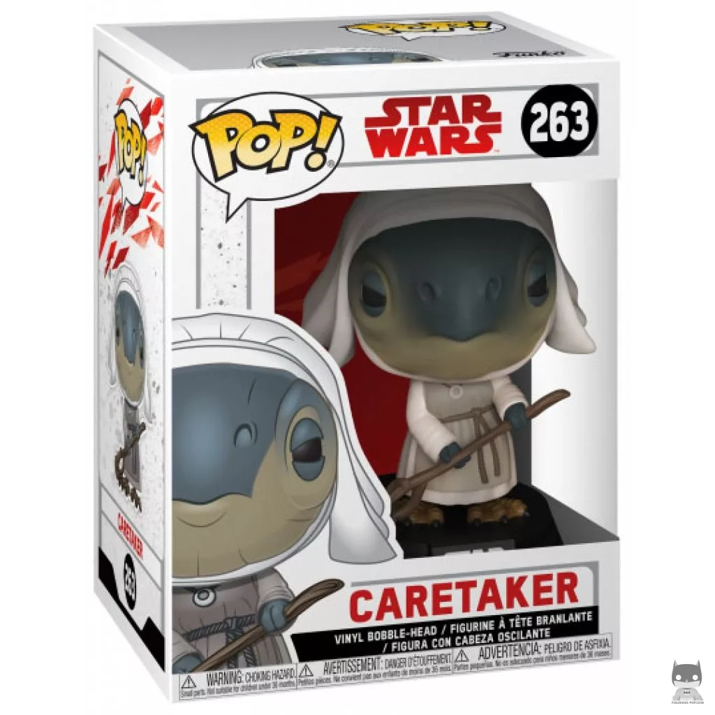 Figurine Funko POP Gardienne avec boîte