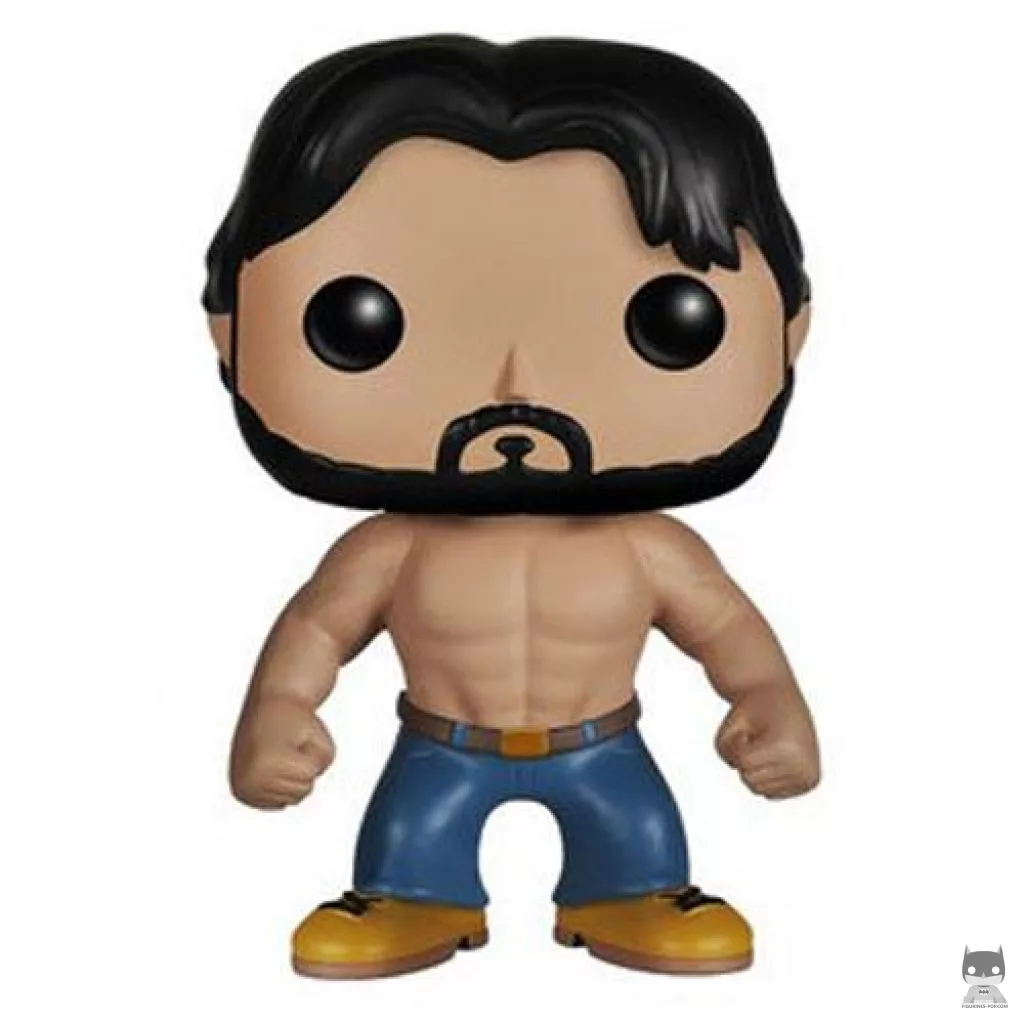Figurine Funko POP Alcide Herveaux (True Blood)