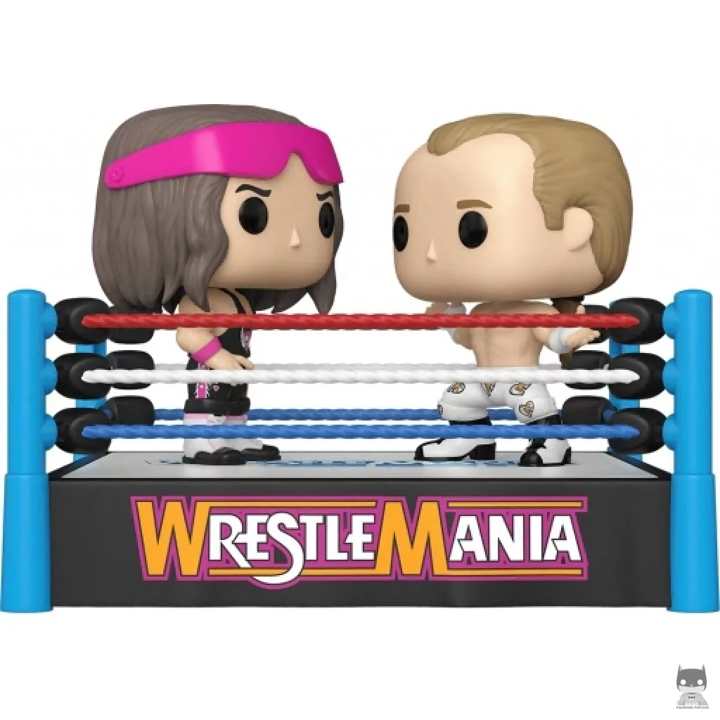 Figurine Funko POP Bret "Hit Man" Hart & Shawn Michaels (WWE)