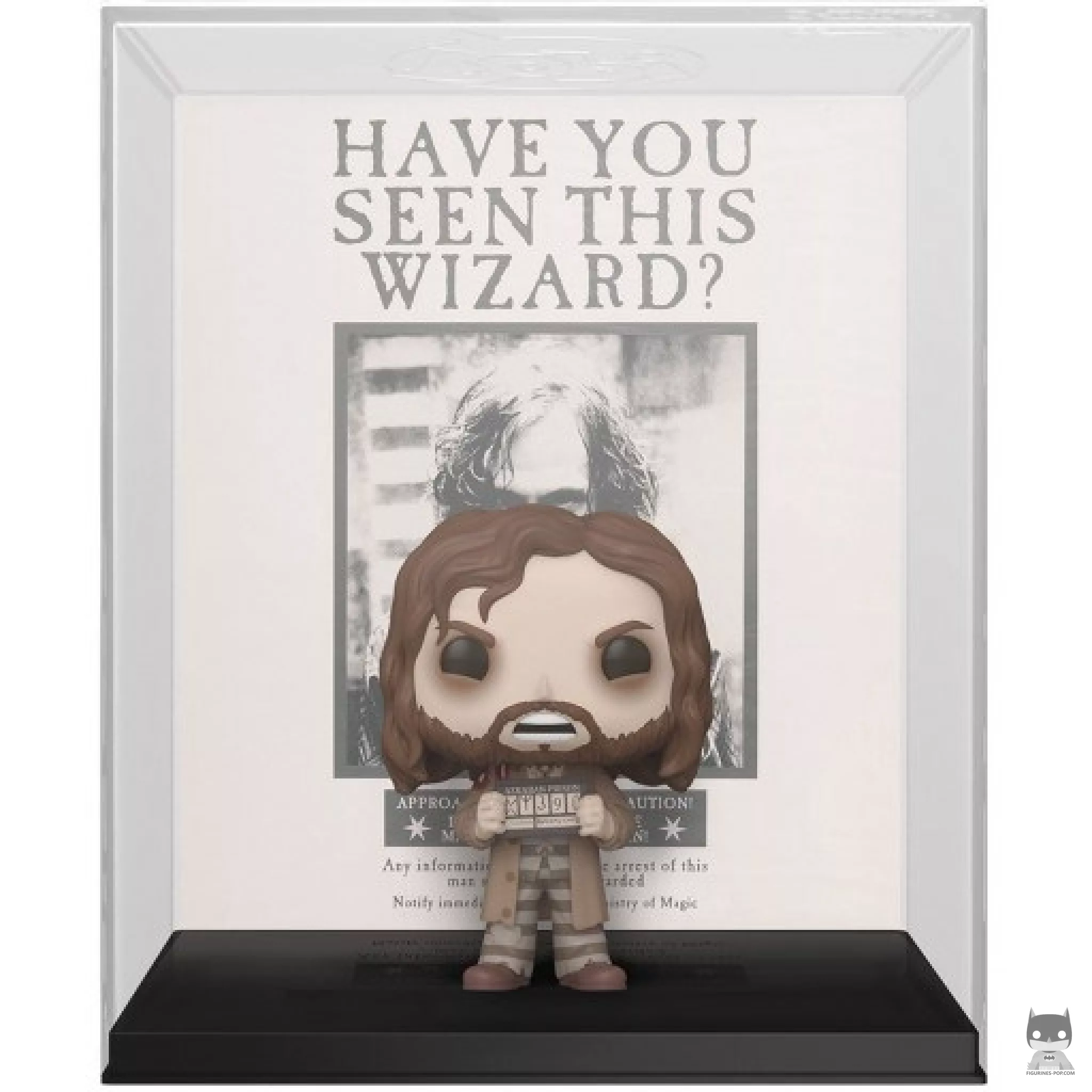 Figurine Funko POP Poster de Sirius Black (Harry Potter)