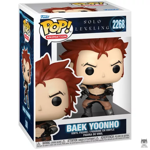 Figurine Funko POP Baek Yoonho (Solo Leveling)