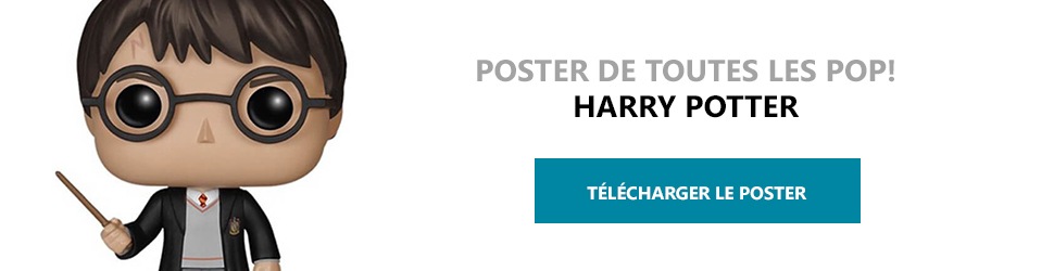 Poster Figurines POP Harry Potter