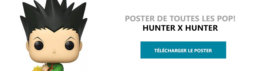 Poster Figurines POP Hunter x Hunter