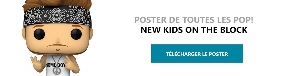 Poster Figurines POP New Kids on the Block