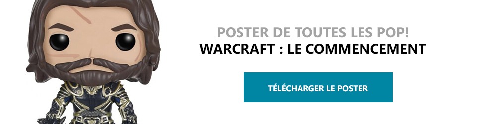 Poster Figurines POP Warcraft : Le Commencement