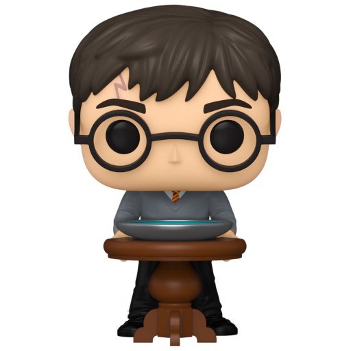 Figurine Funko POP Harry Potter et la Pensine (Harry Potter)