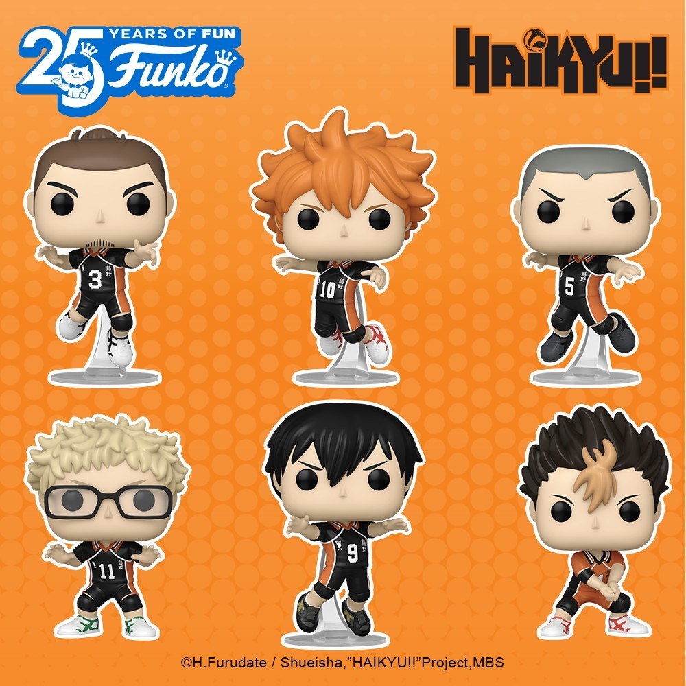 Toutes Les Figurines Funko POP Haiky 